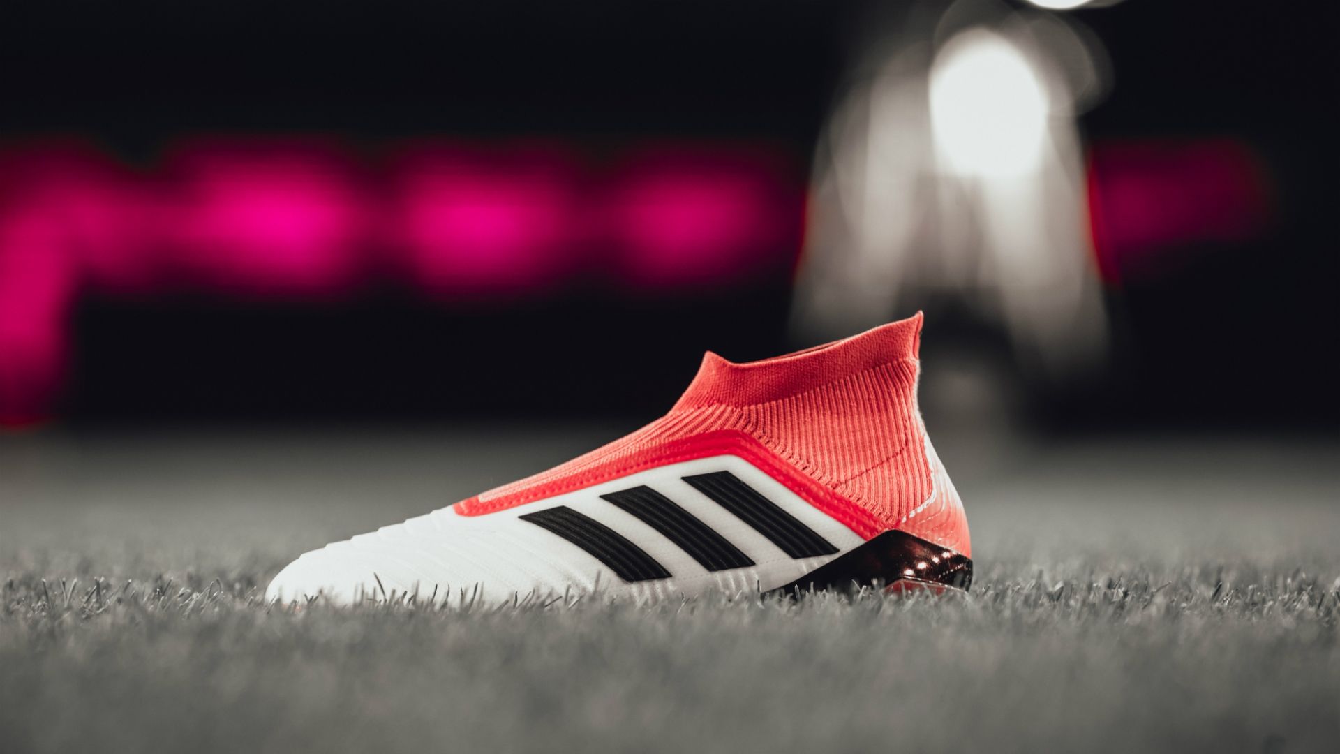 Cold Blooded Predator