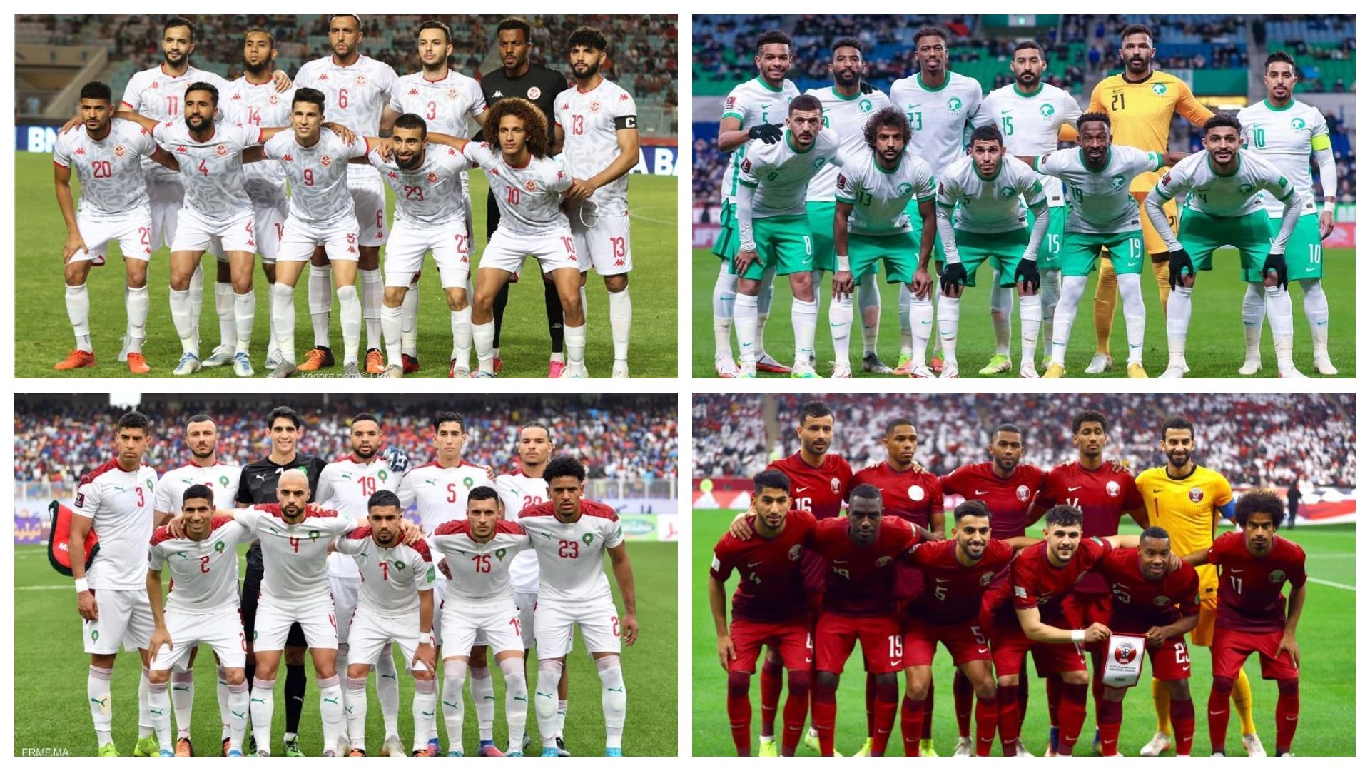 tunisia - morocco - saudi arabia - qatar