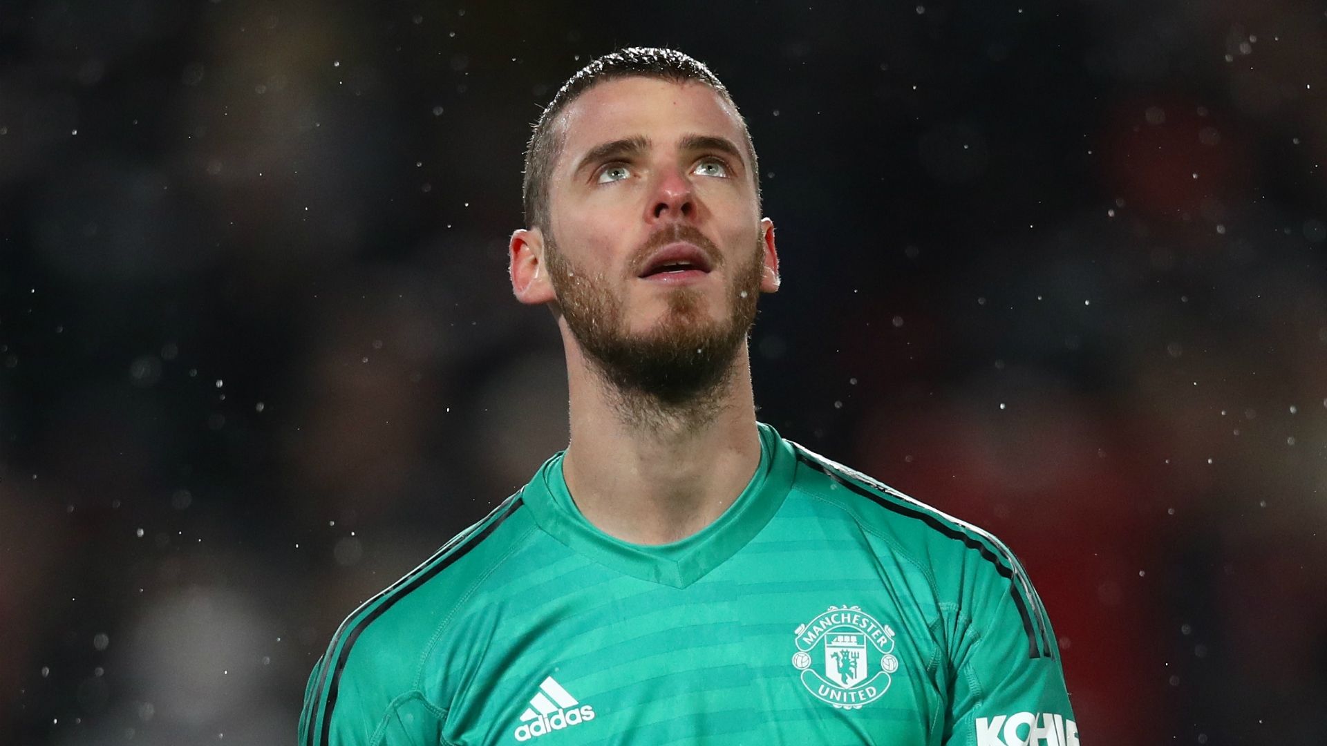 David de Gea - cropped