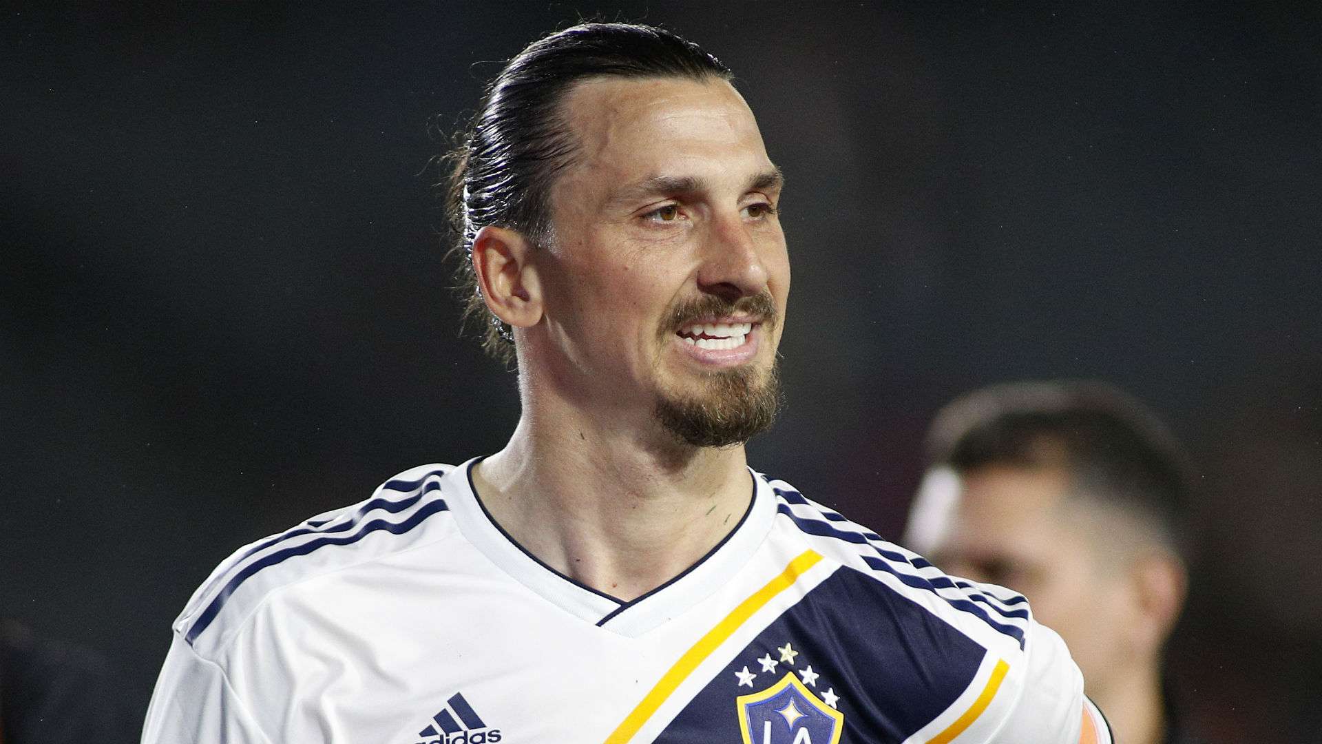 Zlatan - cropped