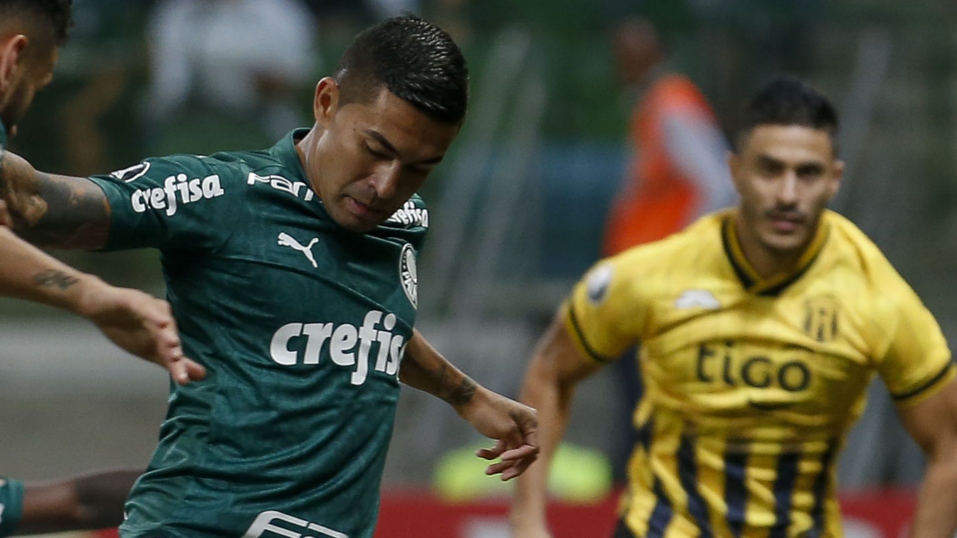 Dudu Palmeiras Guarani Libertadores 10 03 2020