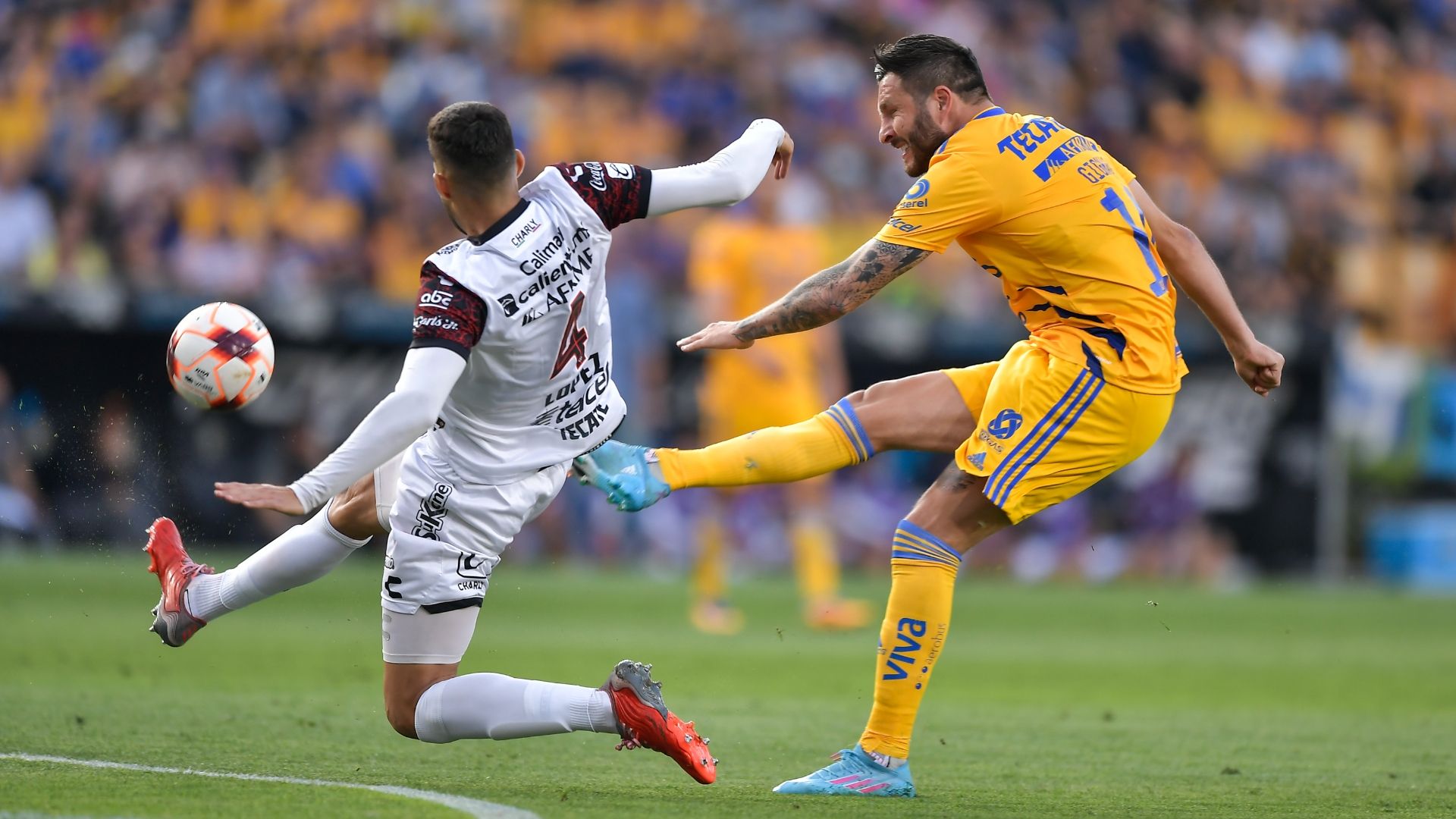 André-Pierre Gignac, Ezequiel López Tigres Xolos Clausura 2022
