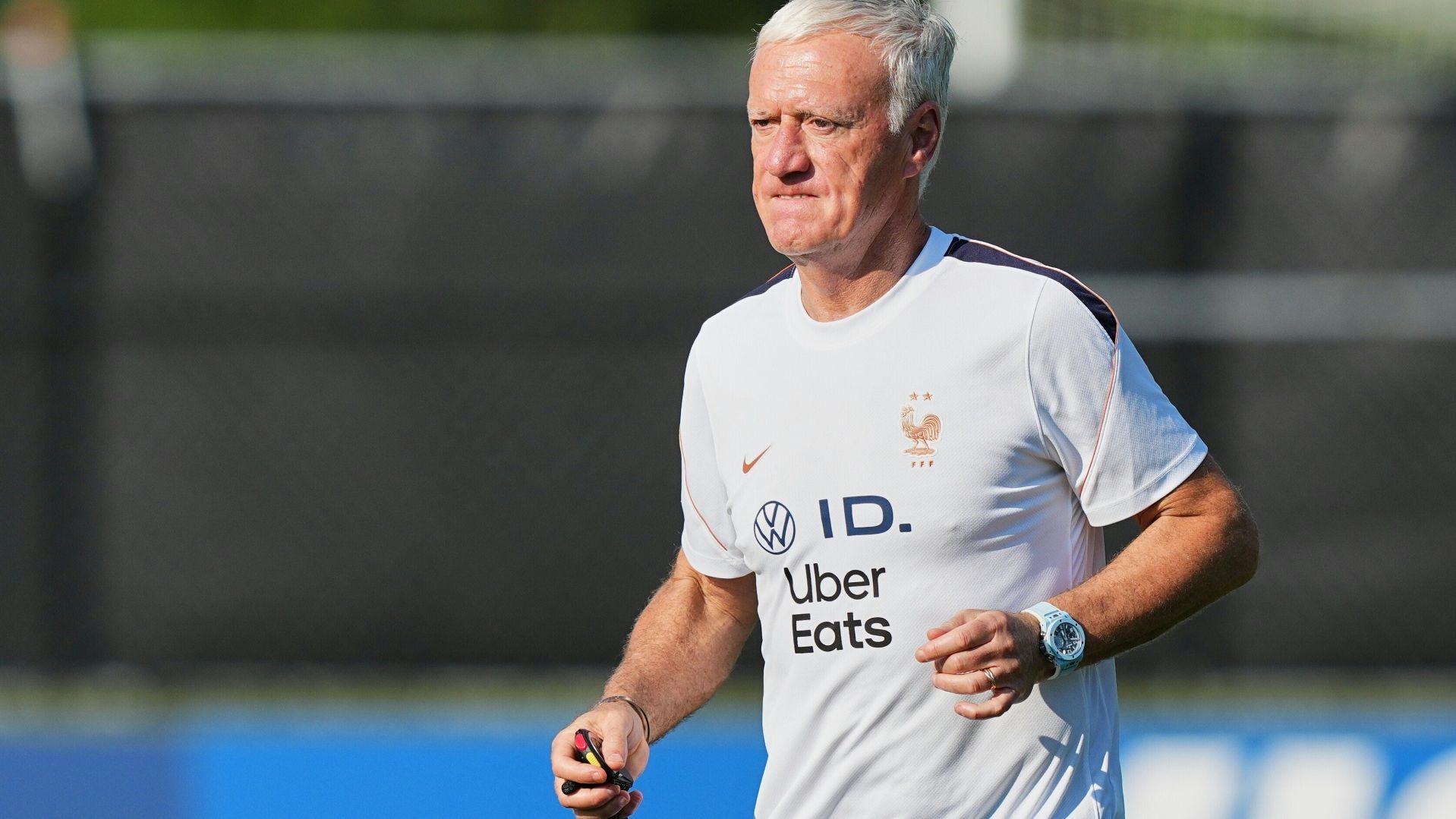 Deschamps ist zurück bei seiner Mannschaft (© picture-alliance/AP/SID/Martin Meissner)