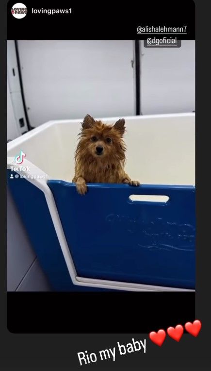 Alisha Lehmann dog Rio