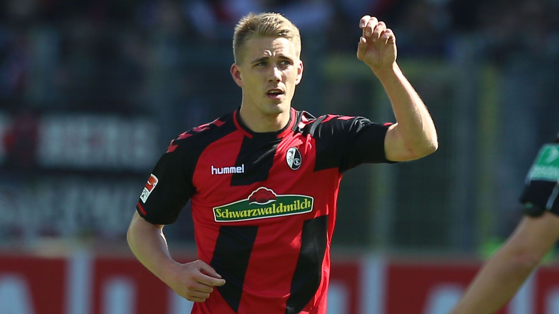 nils petersen sc freiburg bundesliga 042317
