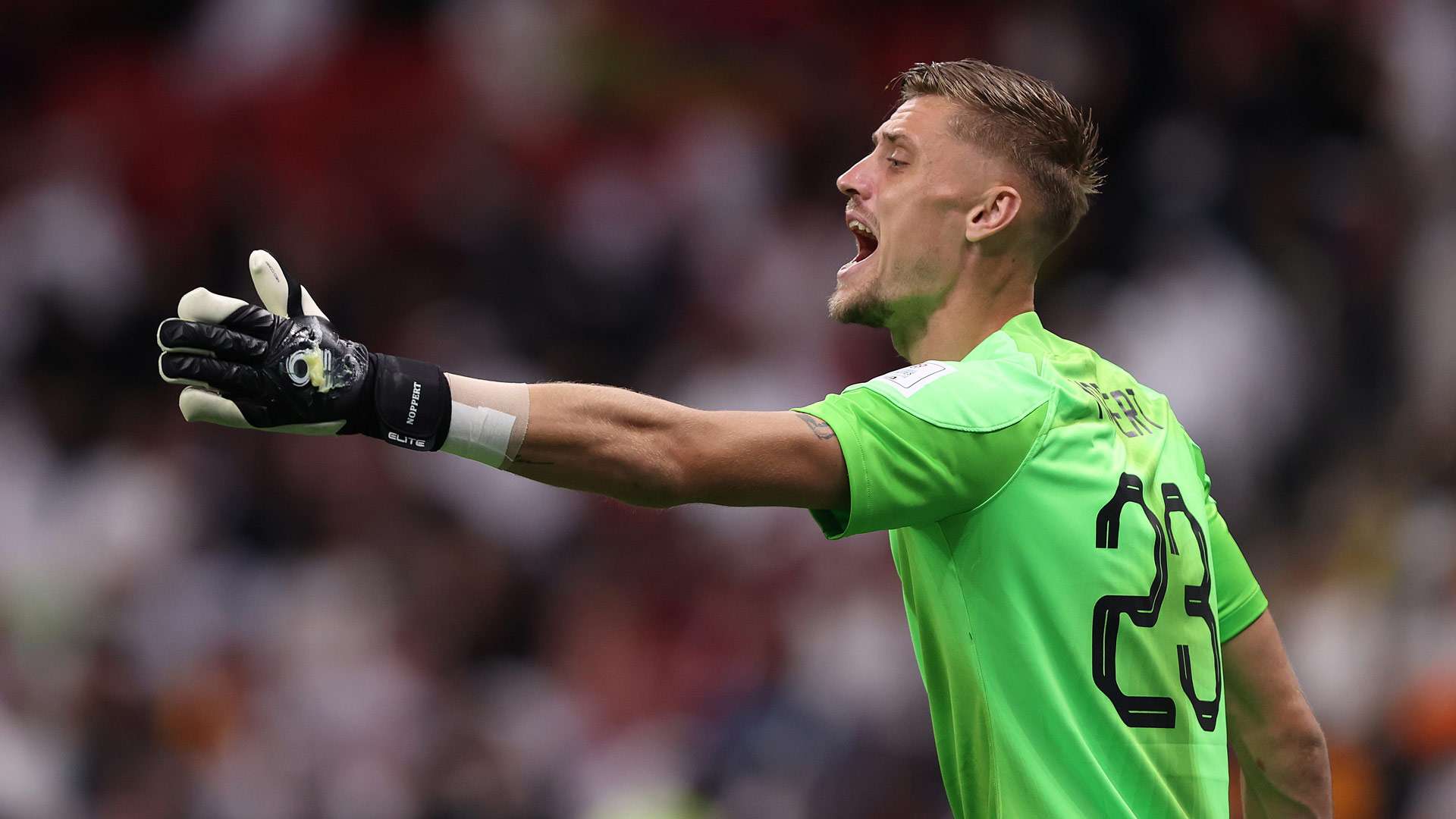 ANDRIES NOPPERT NETHERLANDS