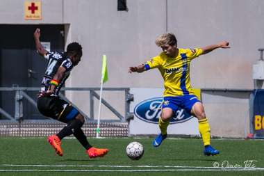 Nguyen Cong Phuong STVV Sint Truidense V.V. 2019