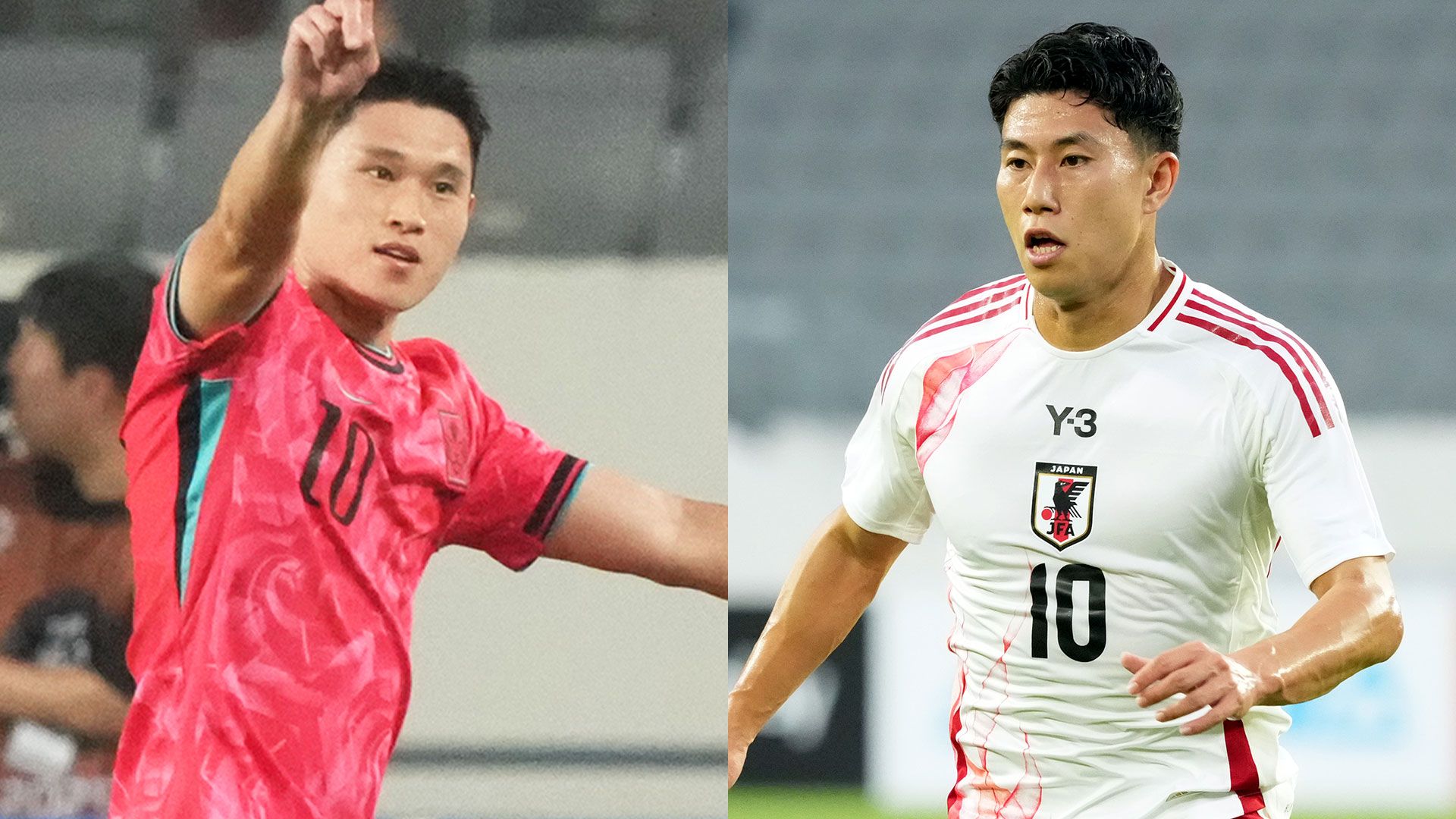 Hosoya Donggyeong Lee