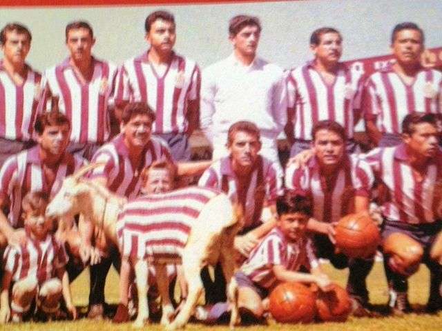 Chivas 1963
