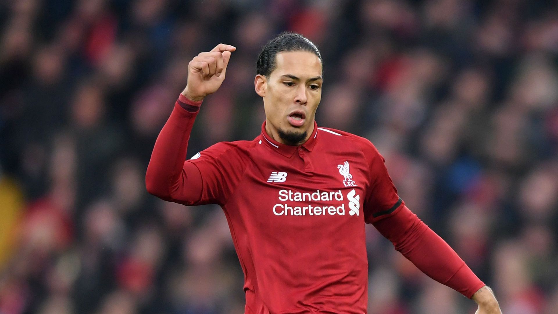 Virgil van Dijk Liverpool 2018/19