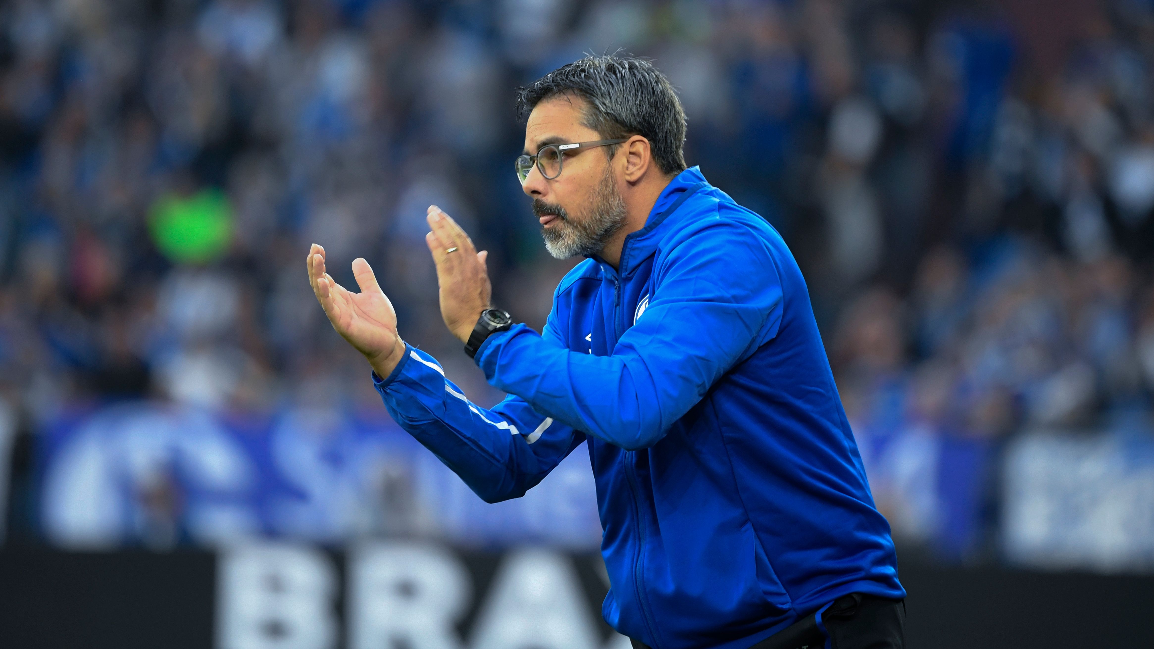 Schalke 04 David Wagner