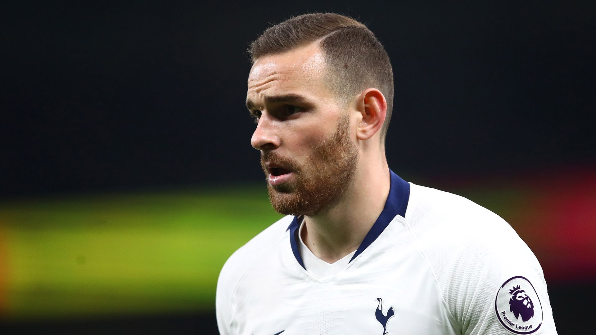 Vincent Janssen Tottenham 2019
