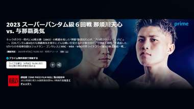 tenshin boxing amazon