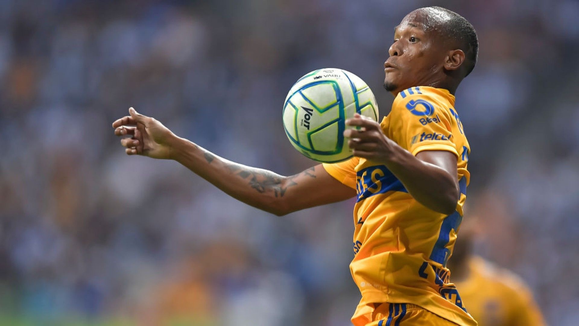 Luis Quiñones Tigres