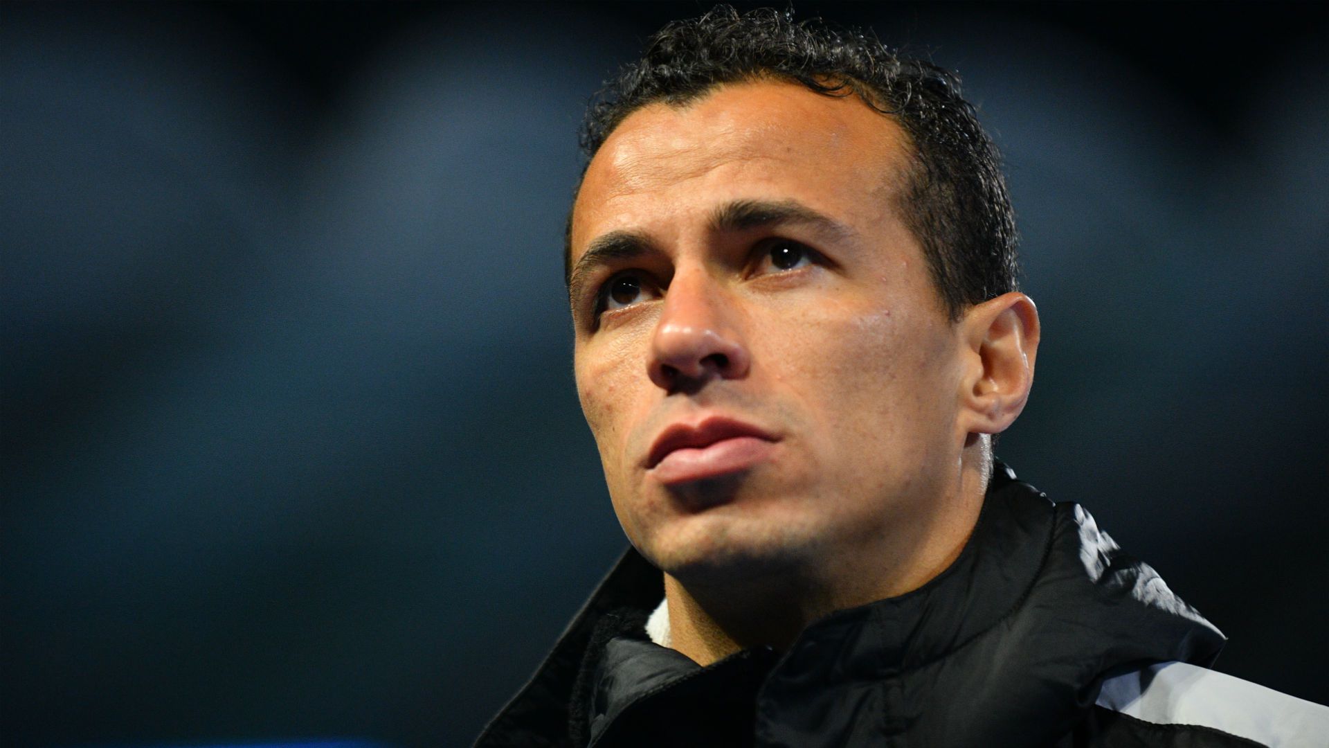 damiao.jpg