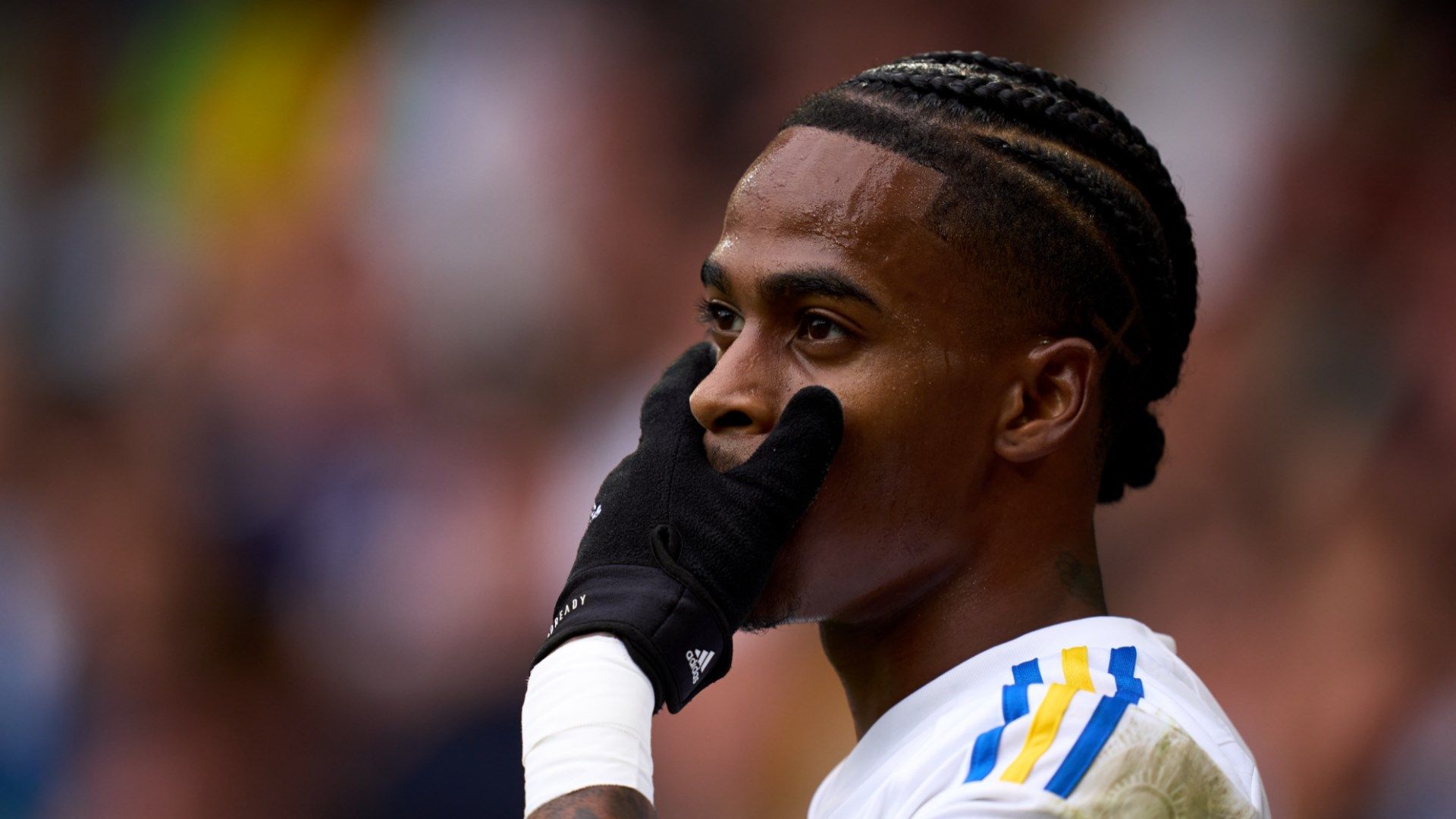 Crysencio Summerville Leeds 2023-24