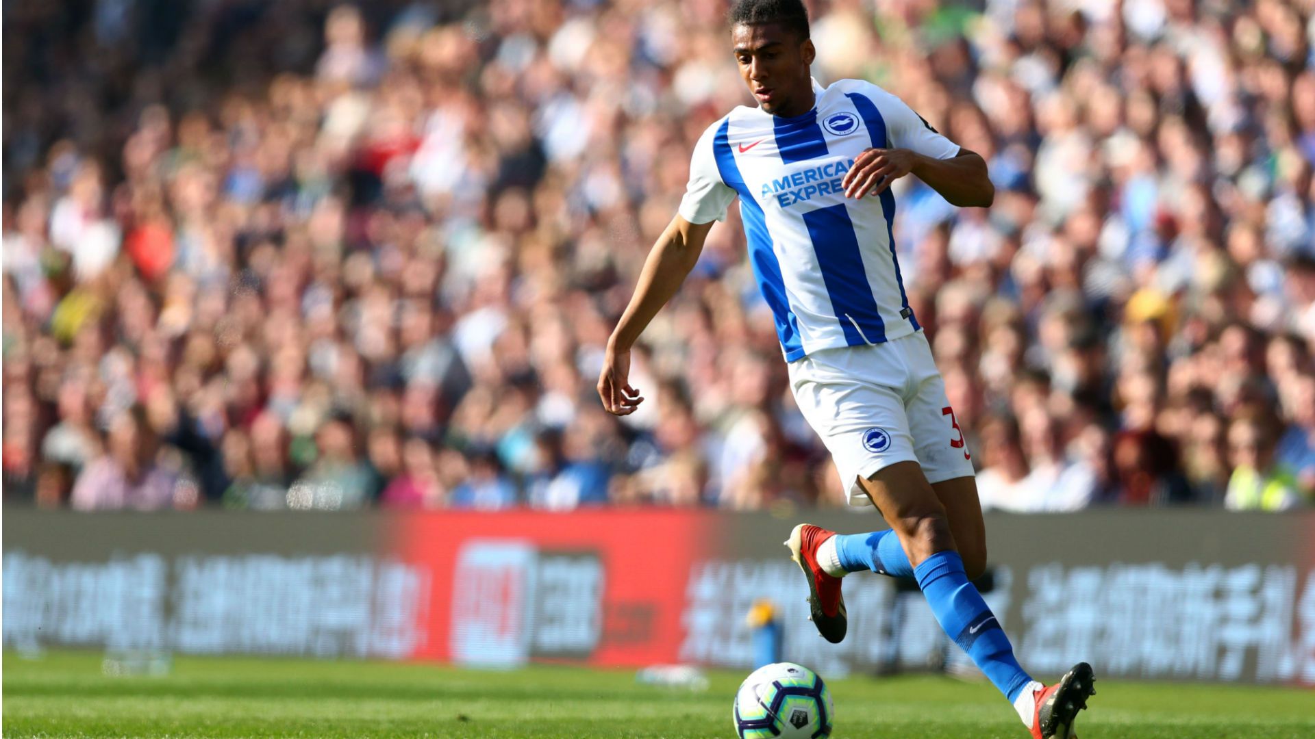 Bernardo Brighton 05 04 2019