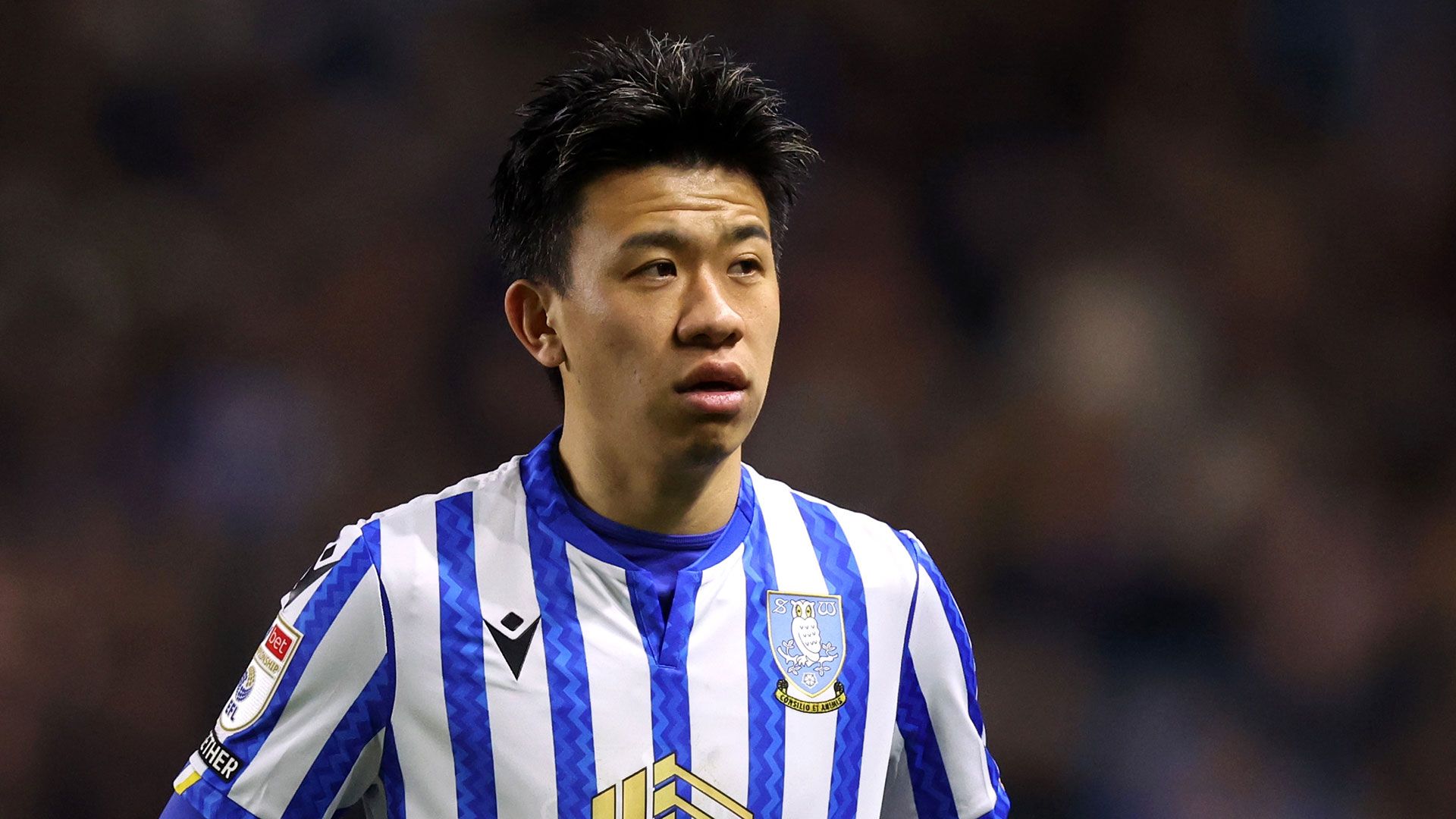 【正規品】 初瀬亮 選手 シェフィールド・ウェンズディ、ガンバ大阪 正規品】 初瀬亮 選手 シェフィールド・ウェンズディ、ガンバ大阪 正規