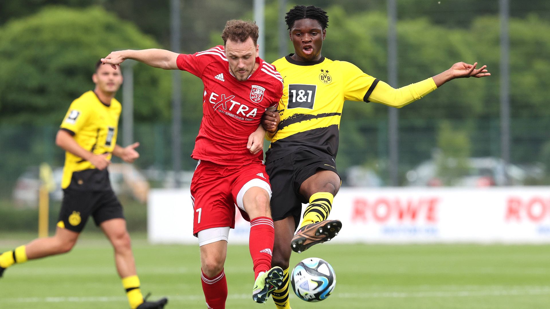 GERMANY ONLY: HENDRY BLANK BORUSSIA DORTMUND