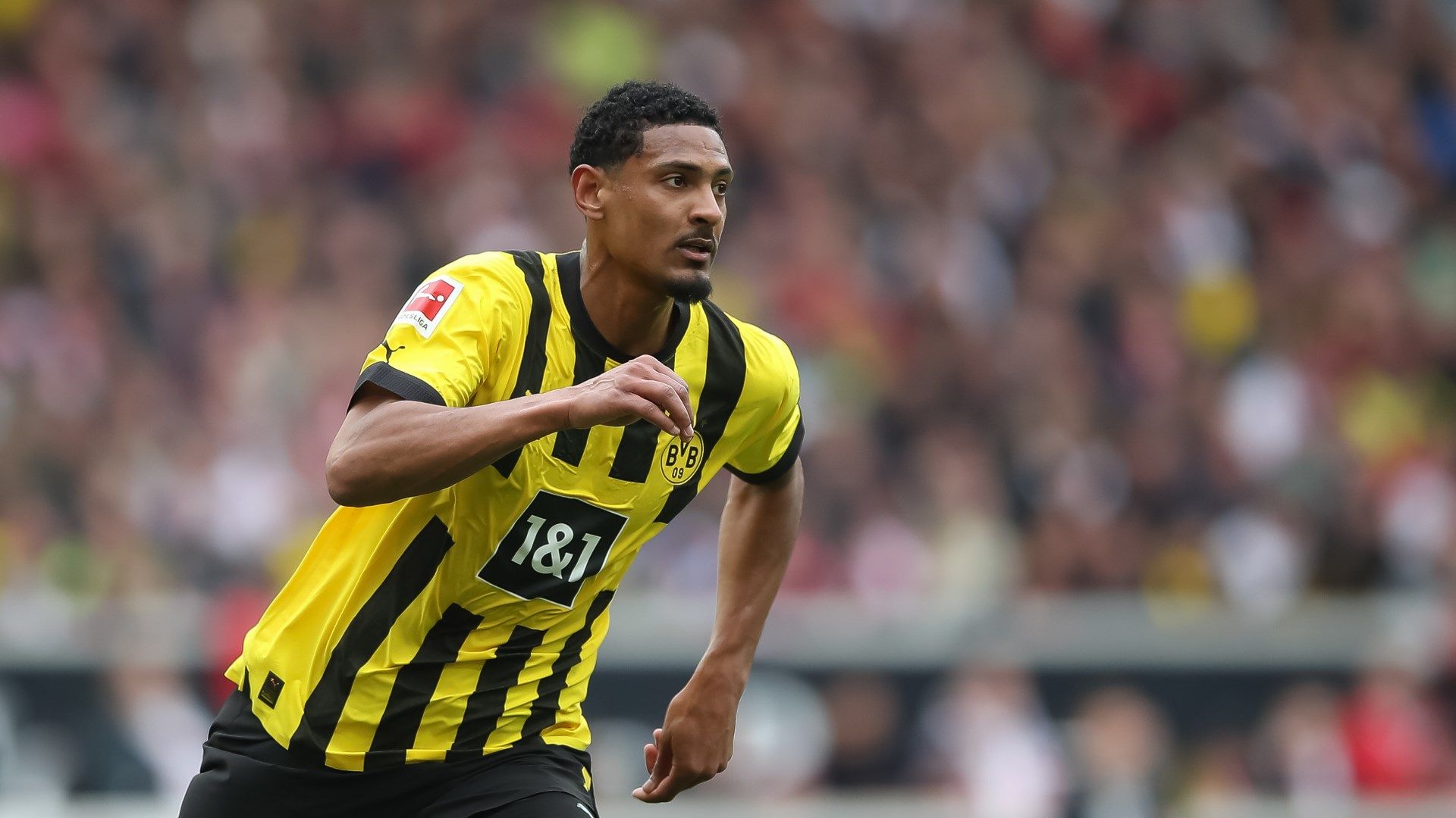 Sebastien Haller Dortmund 2022-23