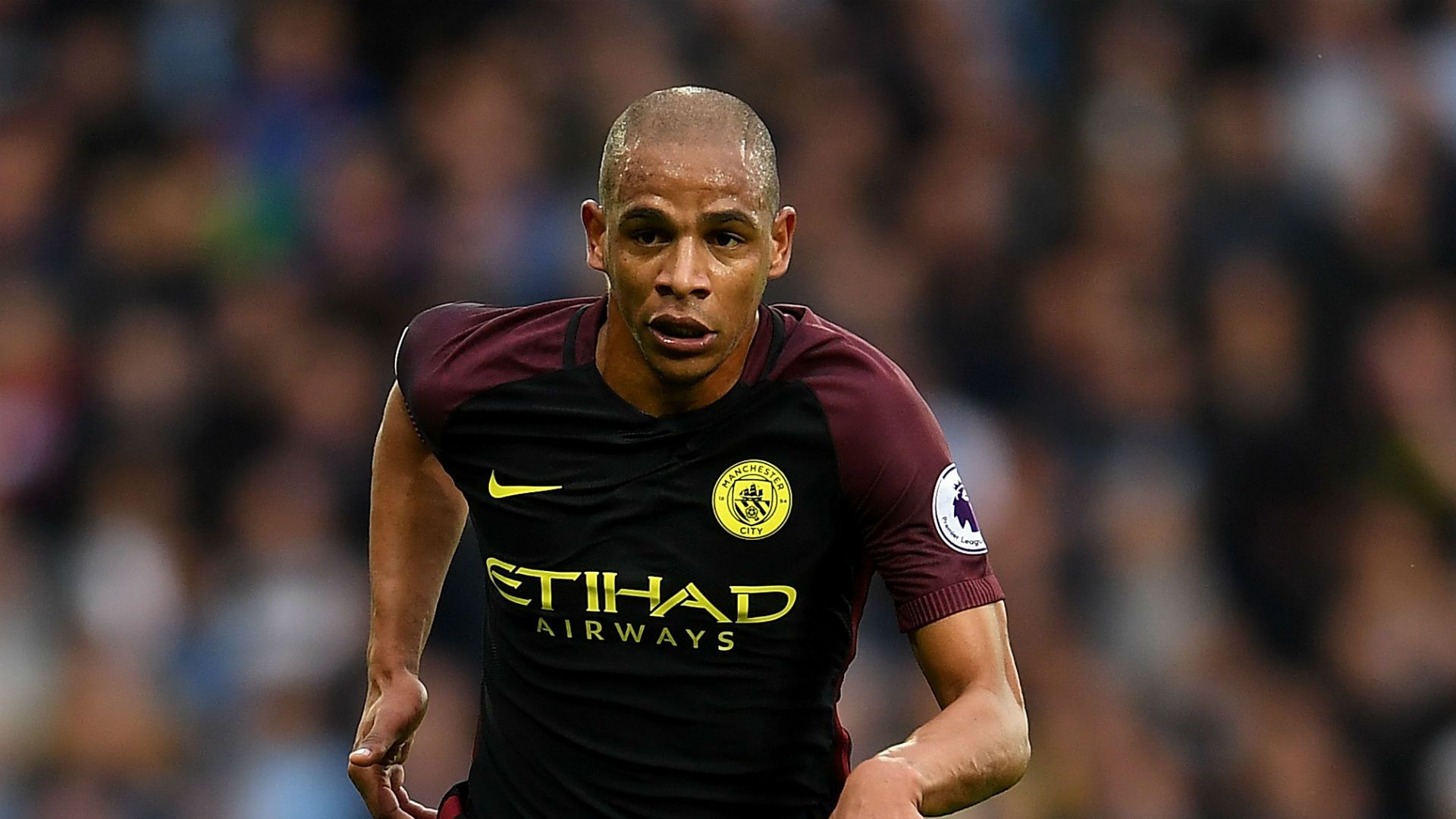 Fernando Manchester City