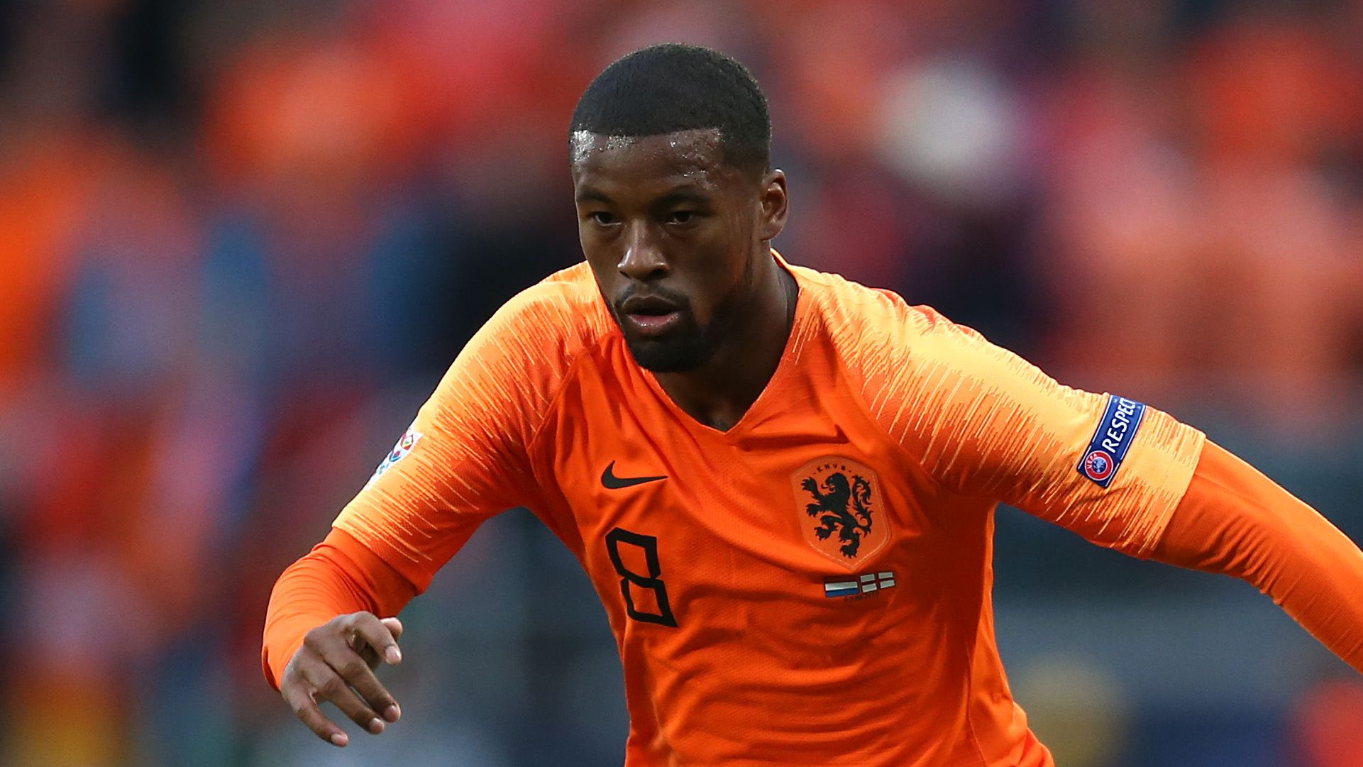 Georginio Wijnaldum - Belanda