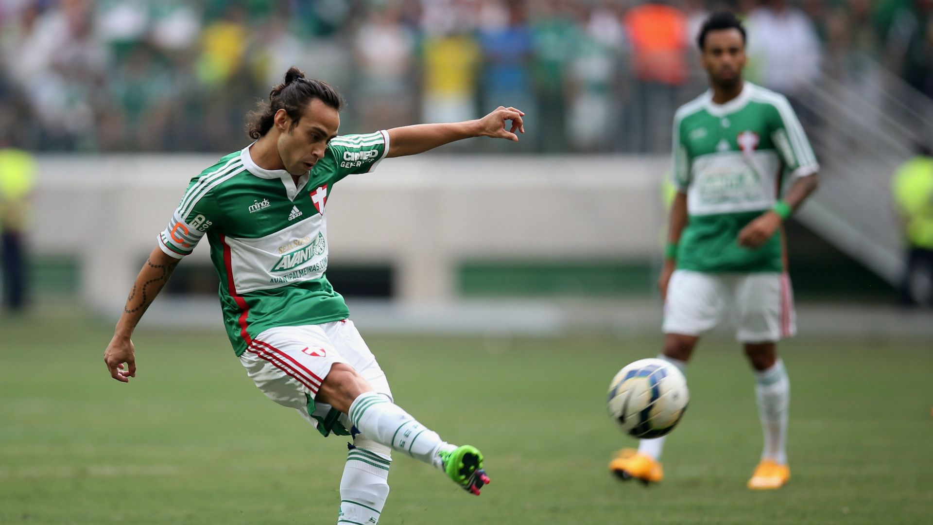 Valdivia - Palmeiras