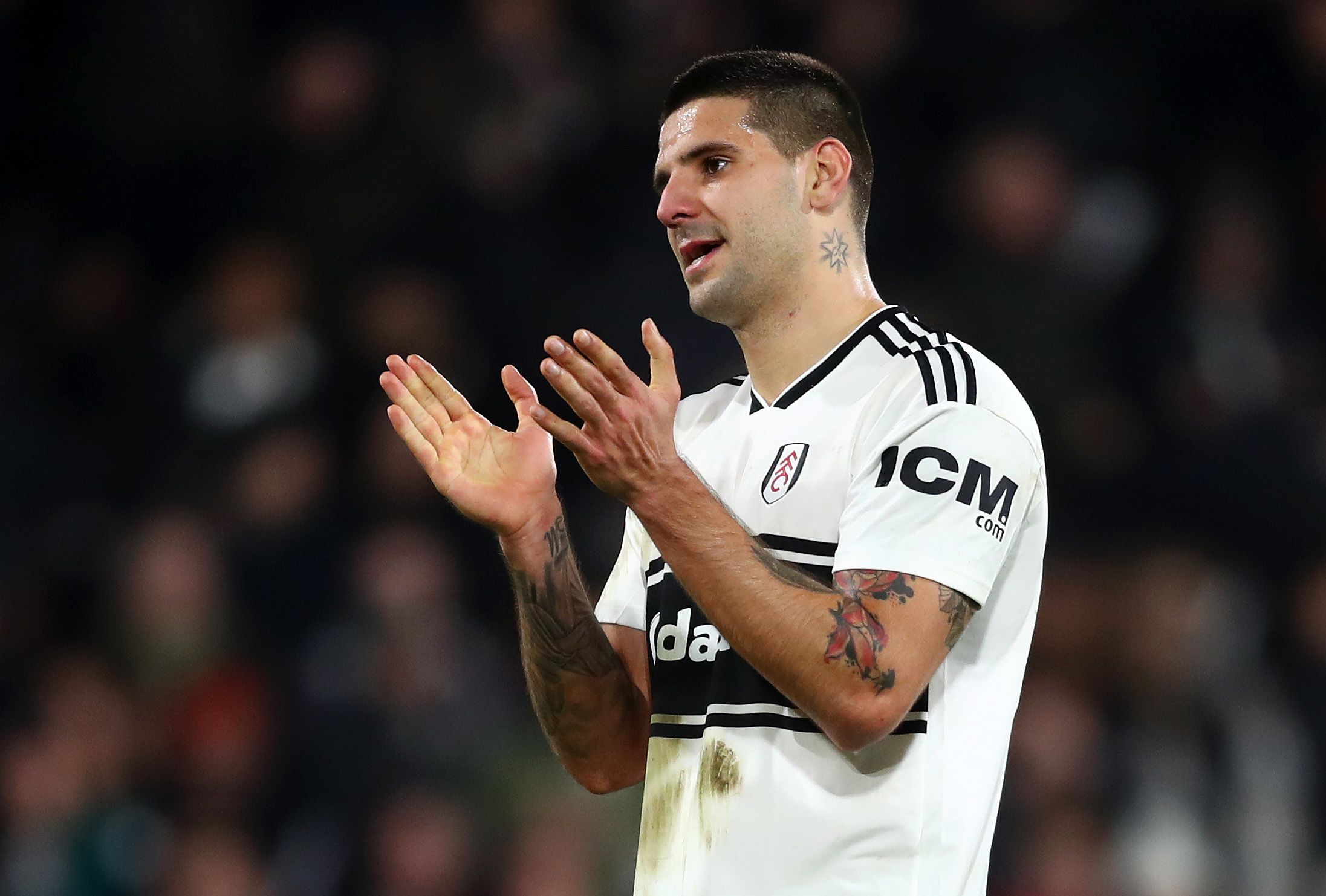 Aleksandar Mitrović - Fulham 2018