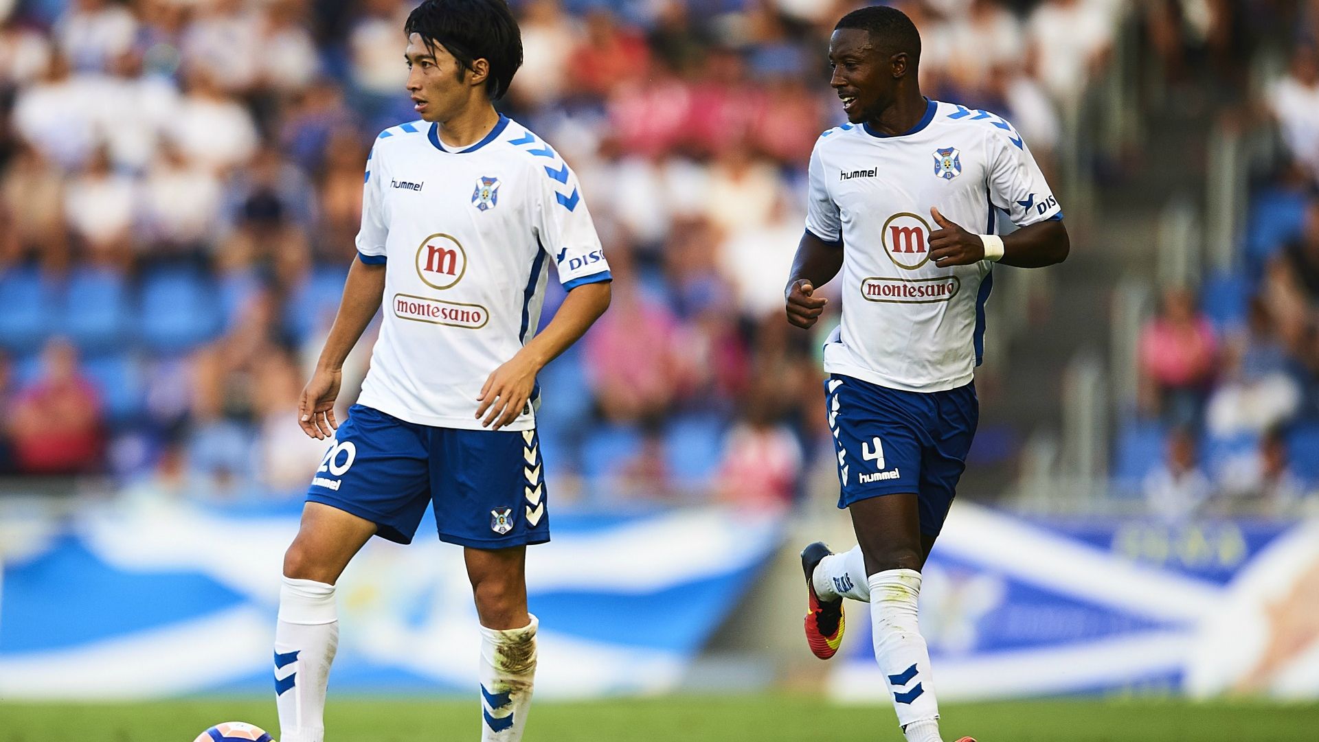 tenerife-gaku-shibasaki-0621-13