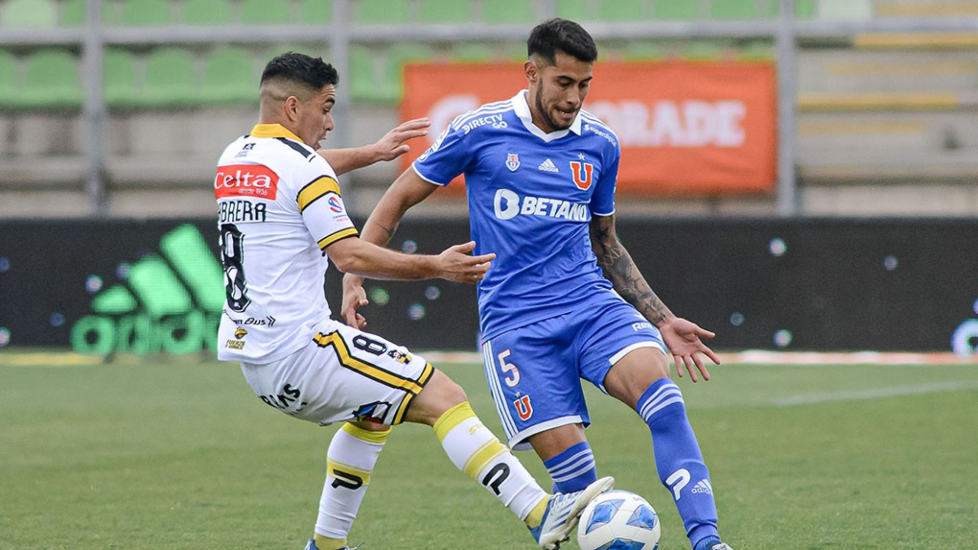 Universidad de Chile