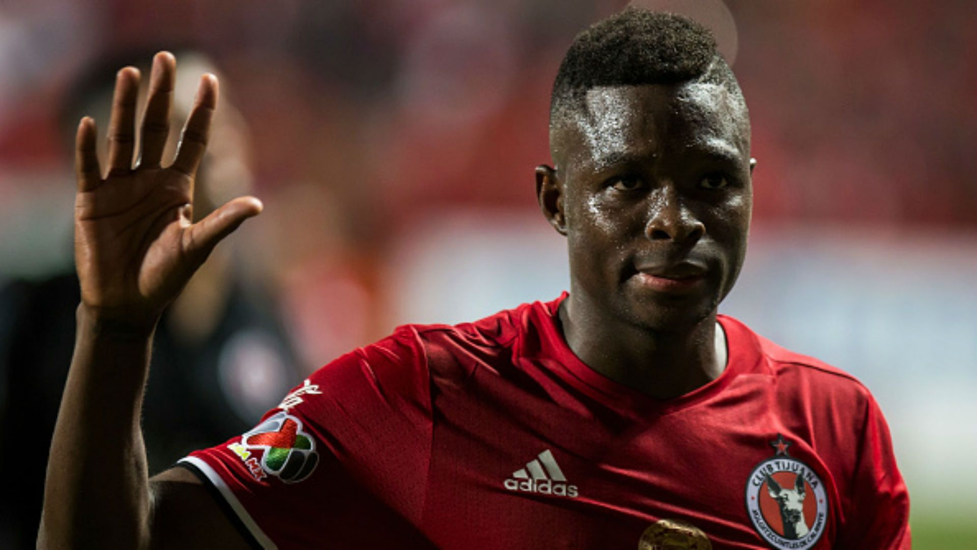 Aviles Hurtado Xolos Tijuana Liga MX Mexico Clausura 2017