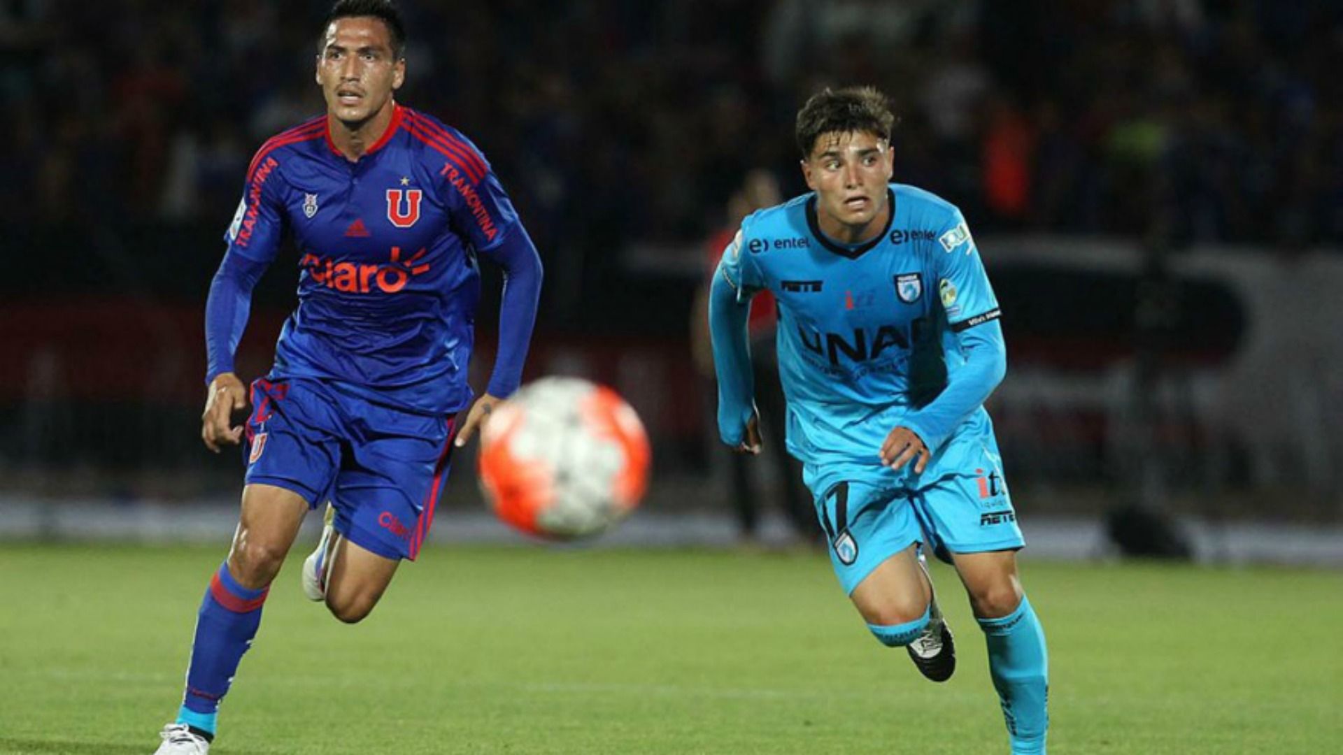Universidad de Chile