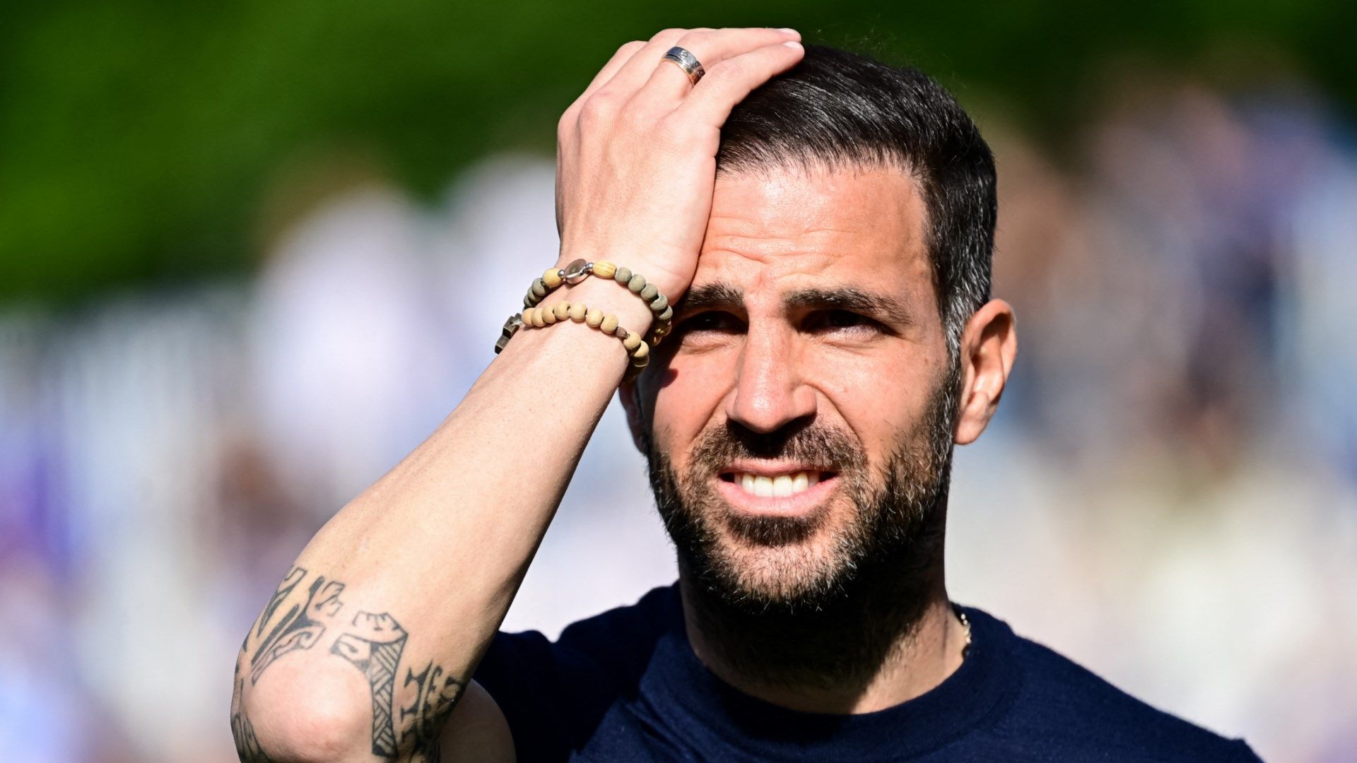 Cesc Fabregas