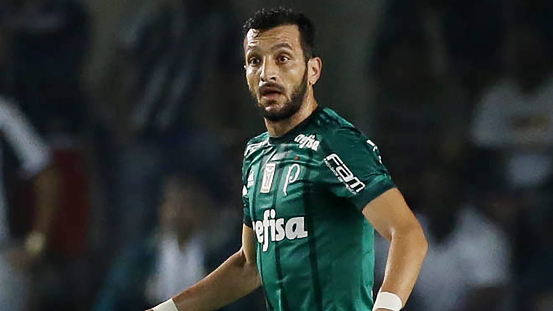 Edu Dracena Santos Palmeiras Brasileirao Serie A 14062017