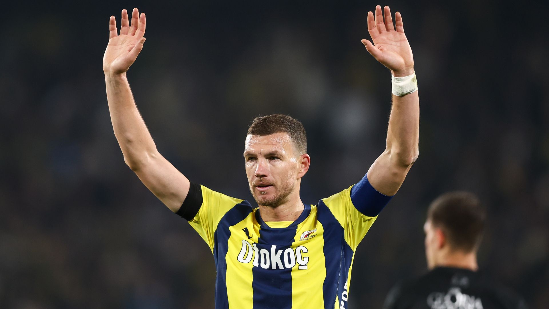 Edin Dzeko Fenerbahce