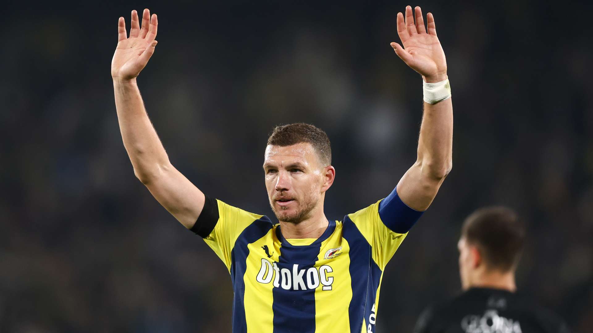 Edin Dzeko Fenerbahce