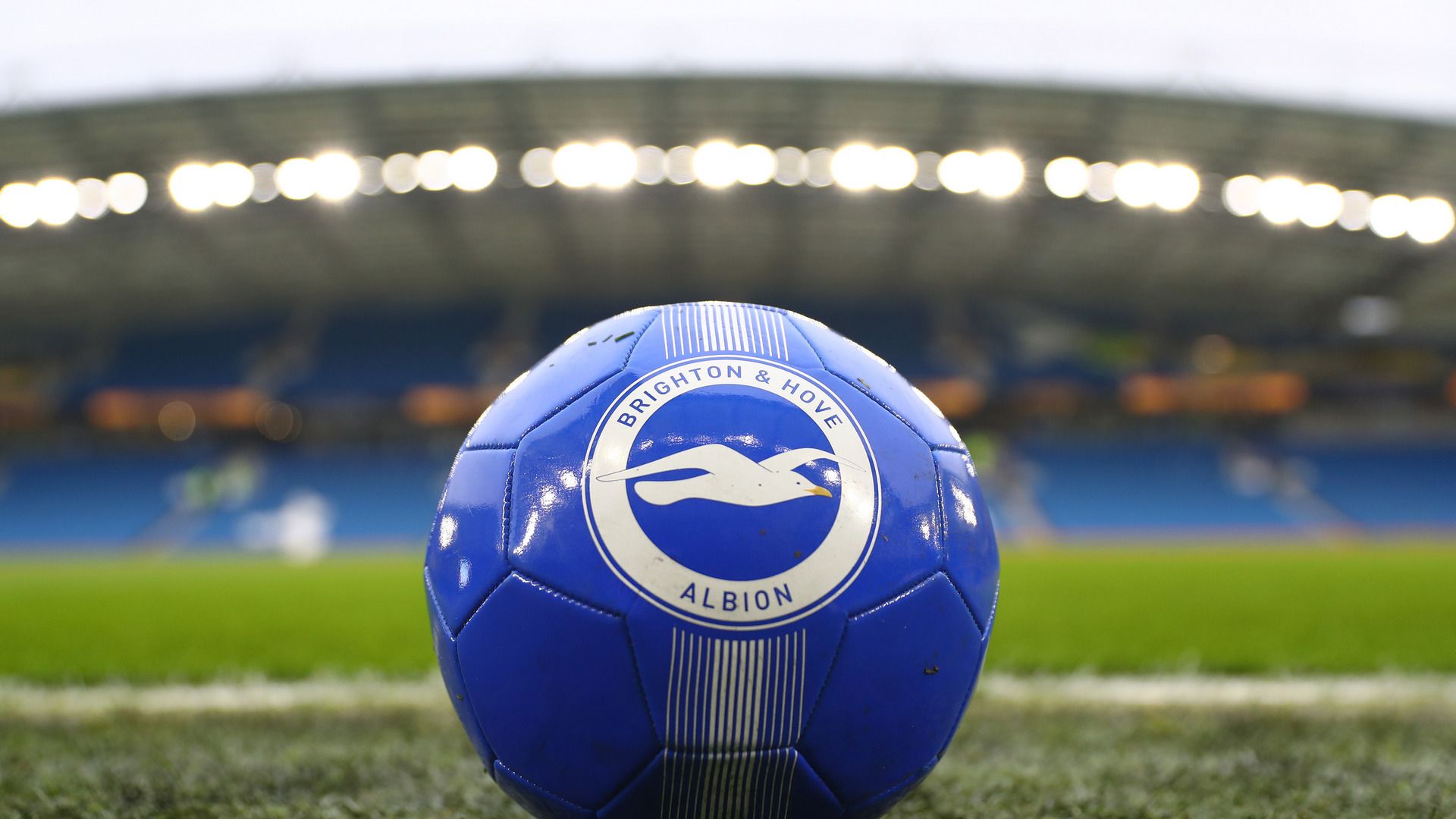 Brighton and Hove Albion