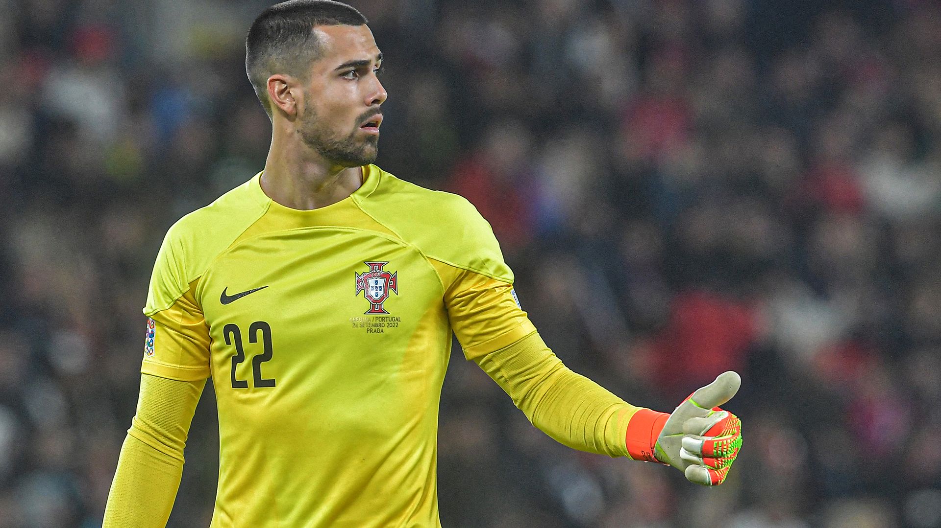 Diogo Costa Portugal Czech 2022