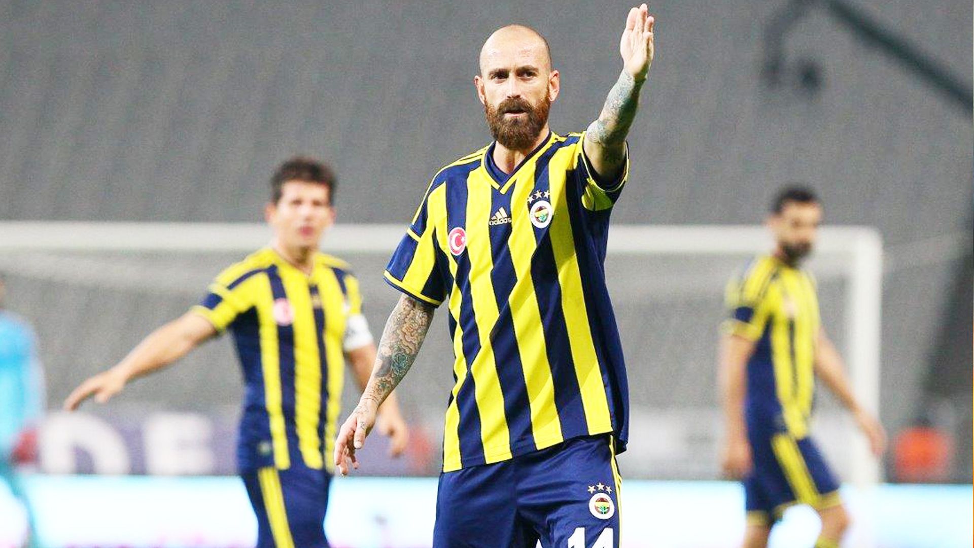 Besiktas - Fenerbahce Raul Meireles 021114