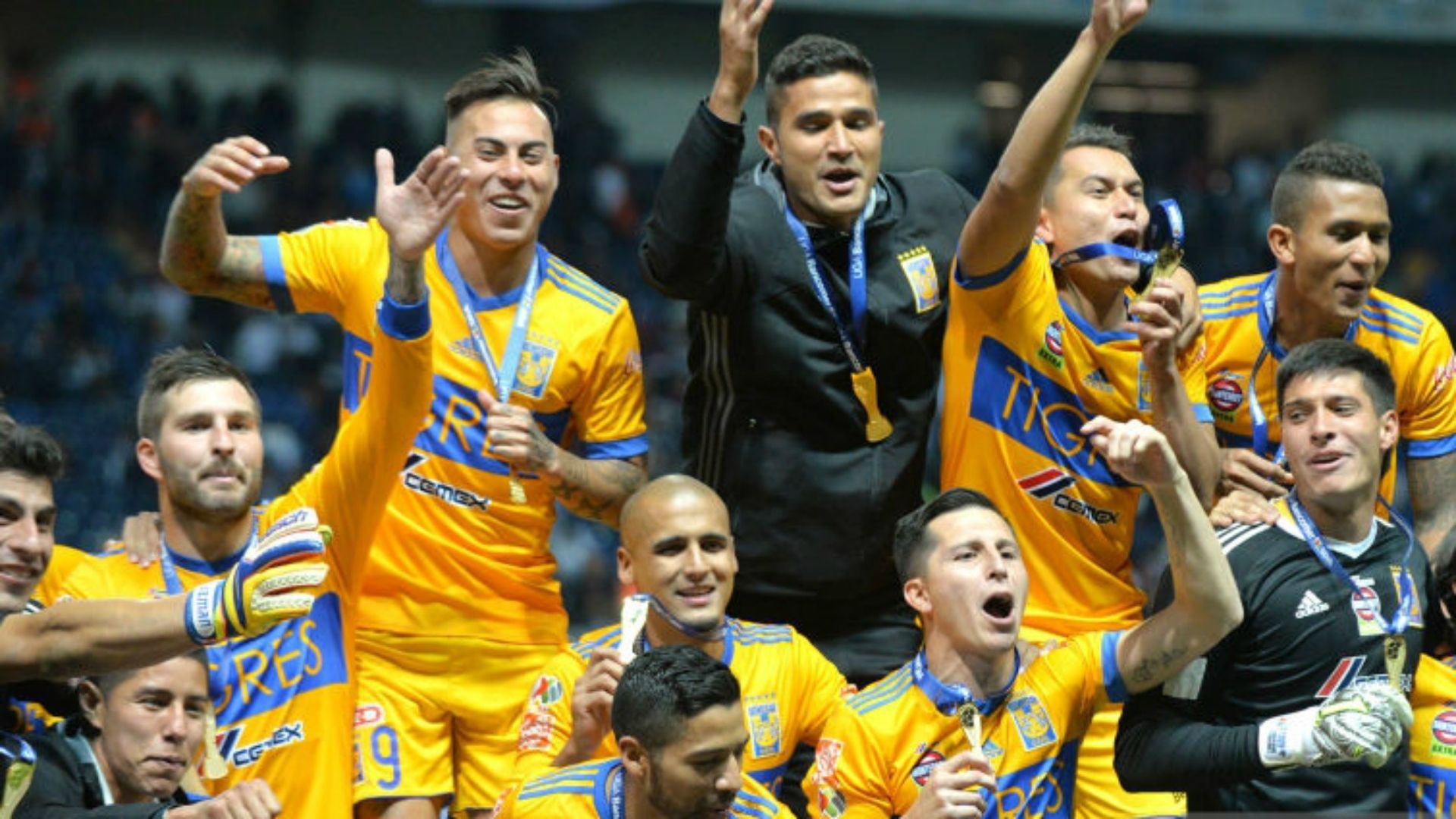 Tigres