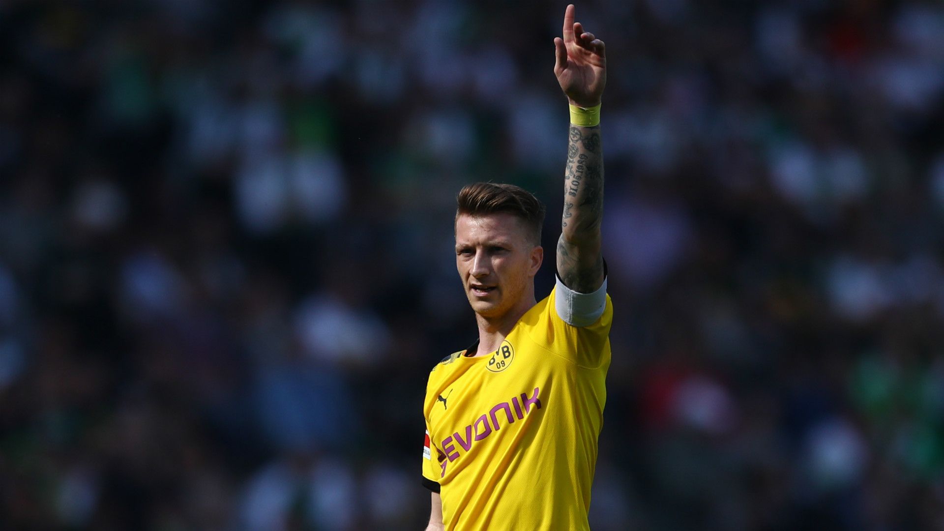 MARCO REUS BORUSSIA DORTMUND