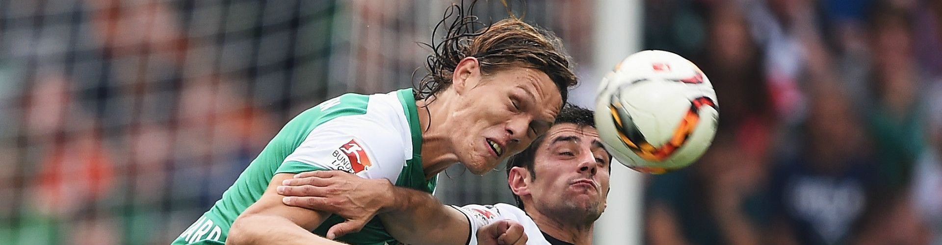 BANNER VESTERGAARD