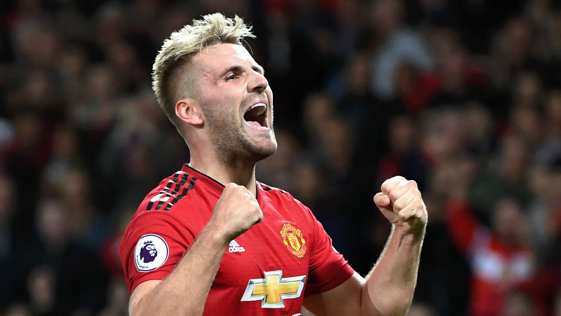 Luke Shaw Manchester United 2018-19