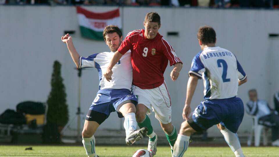 Hungary v Bosnia 2007