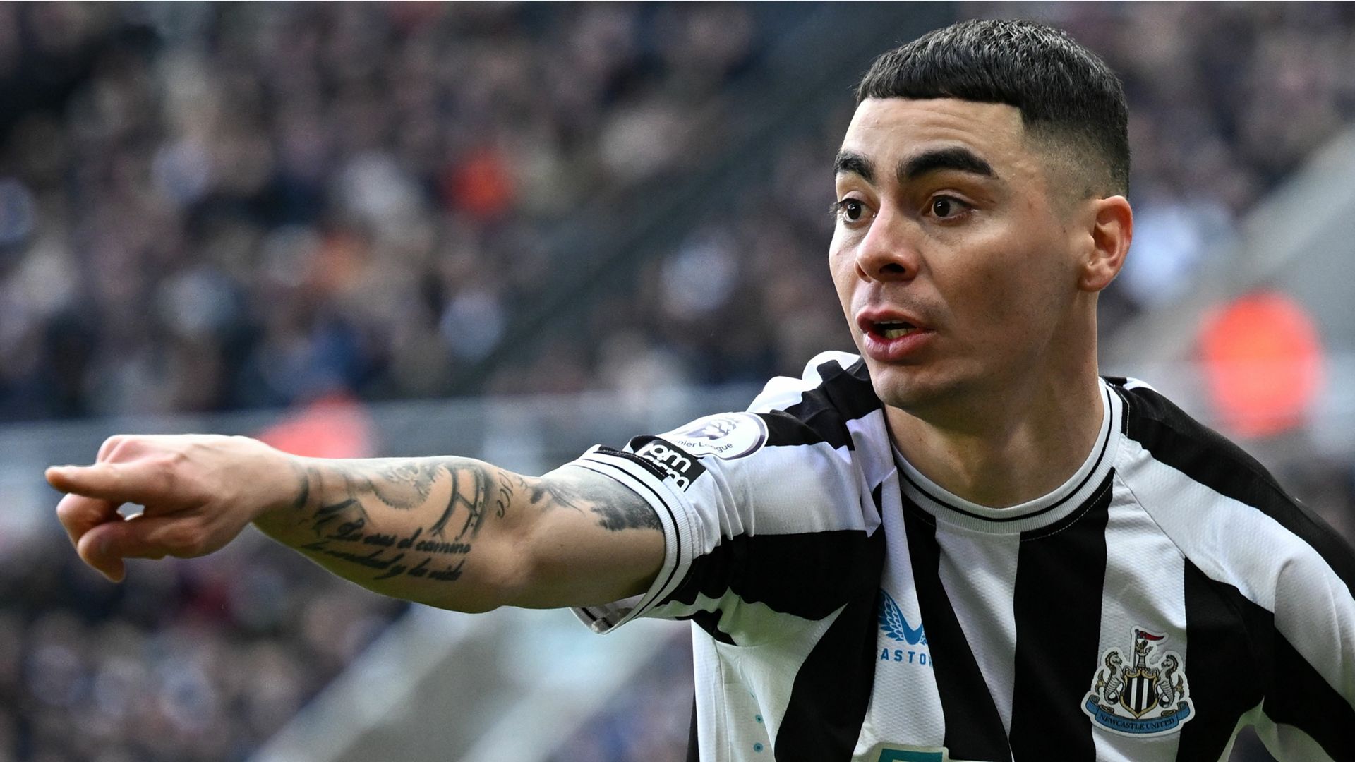 Miguel Almiron Newcastle 2022-23