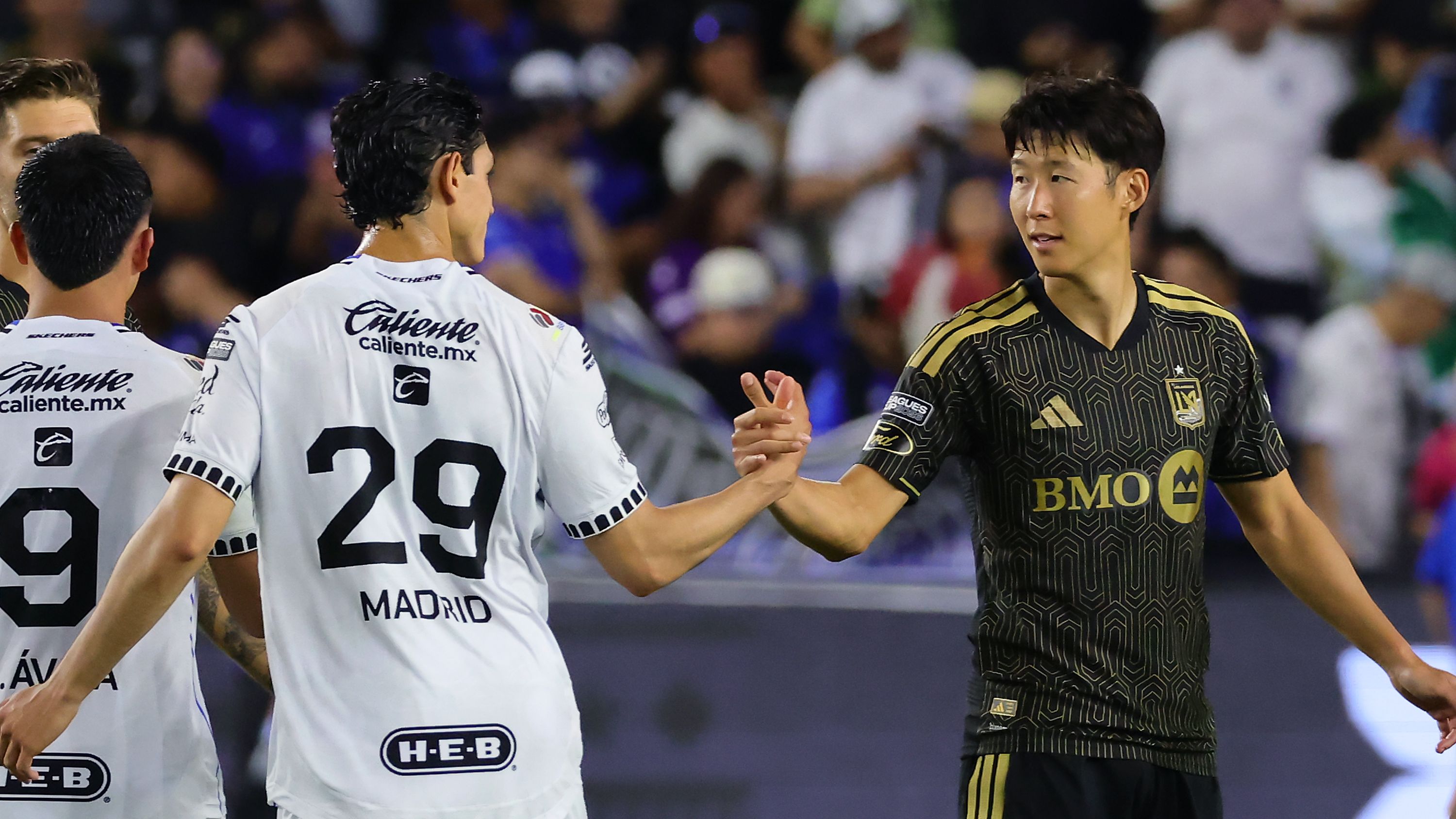 손흥민 (Son Heung-Min)