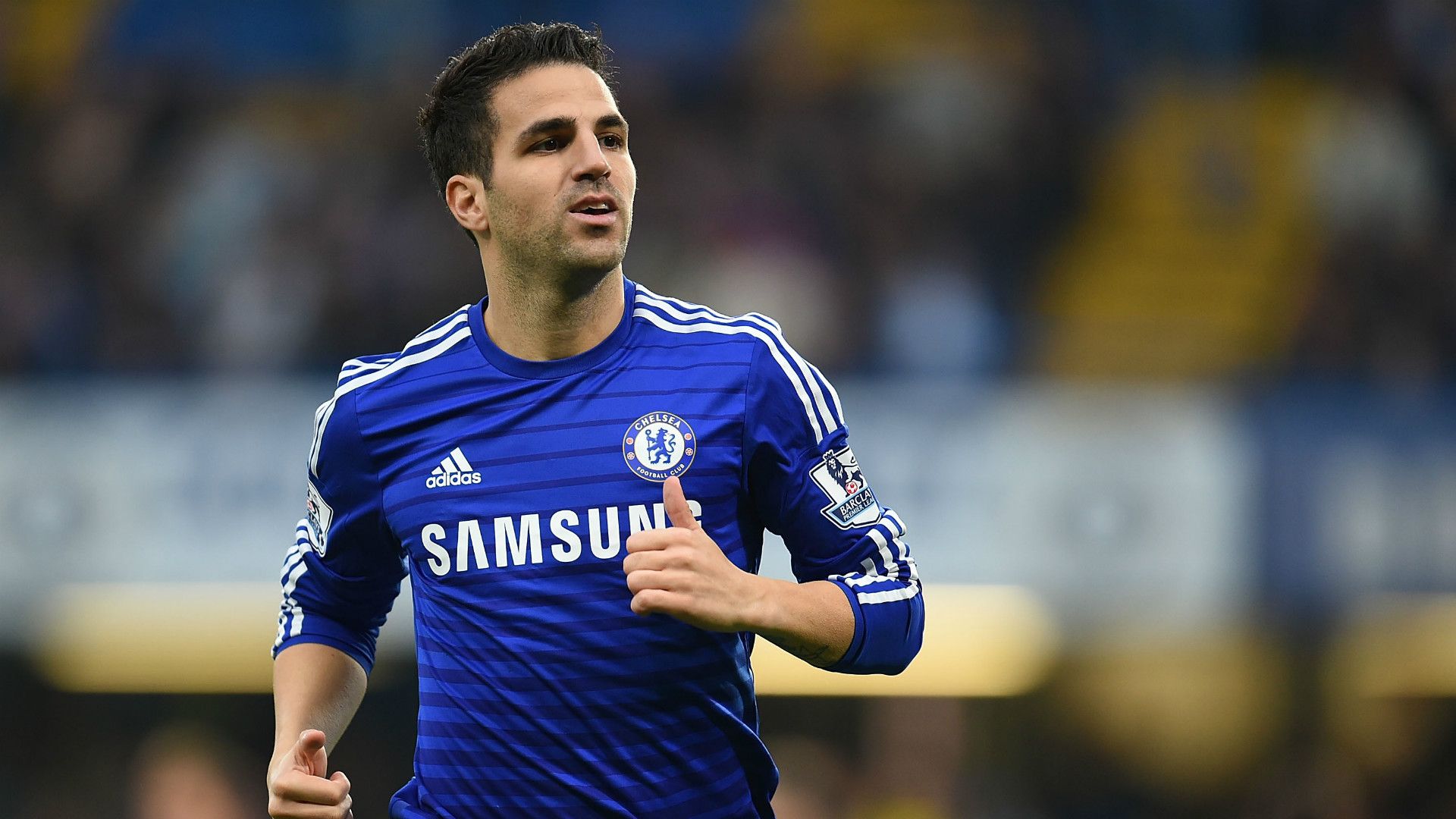 Cesc Fabregas | Chelsea | Premier League | 221114