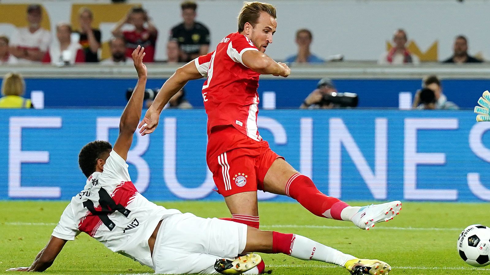 harry kane vfb bayern