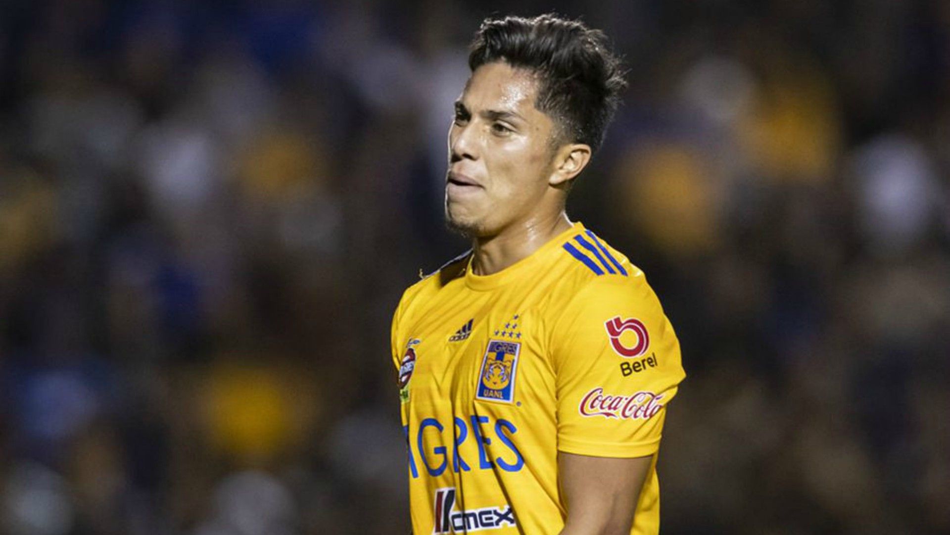 Carlos Salcedo Tigres
