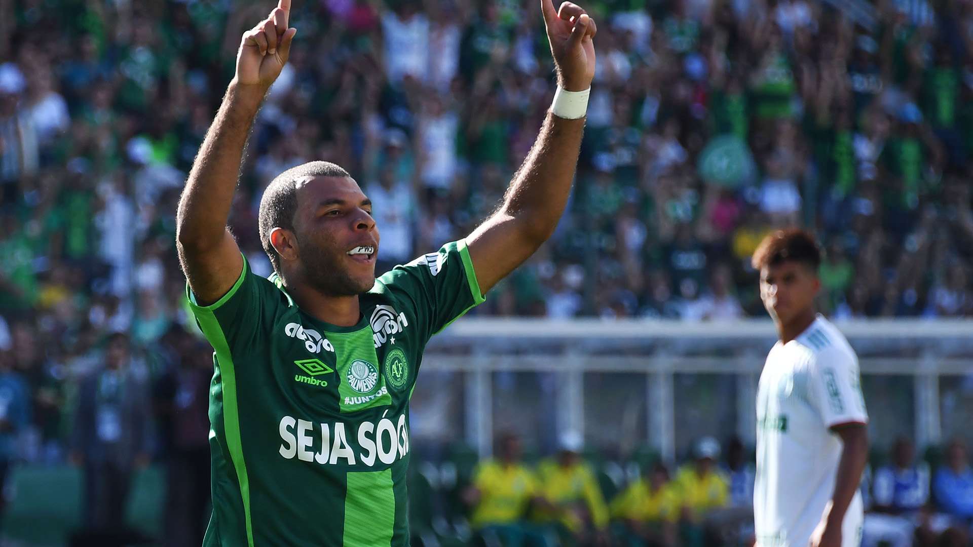 Amaral Palmeiras Chapecoense Amistoso homenagem 21012017